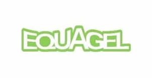 Equagel Cushions