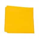 Patient Handling Slide Sheet